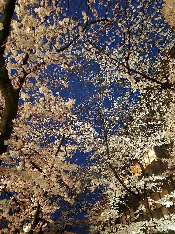 Glanz Kei Gion Shinmonzen Διαμέρισμα Κιότο 0*,  Ιαπωνία