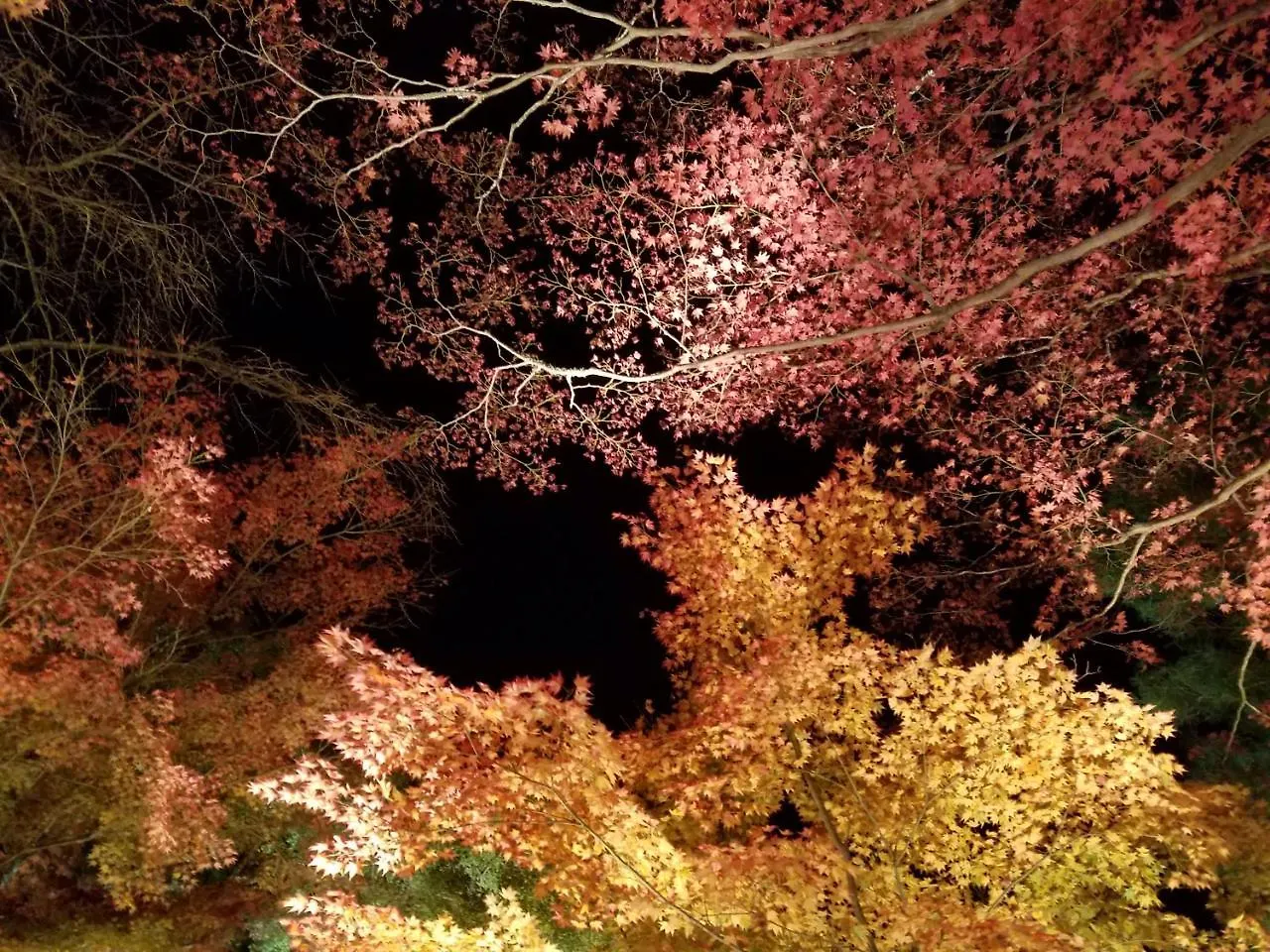 Glanz Kei Gion Shinmonzen Japan